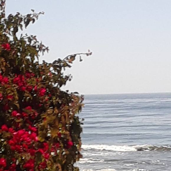 Meet your Posher, Keith T - Picture 1 of 1